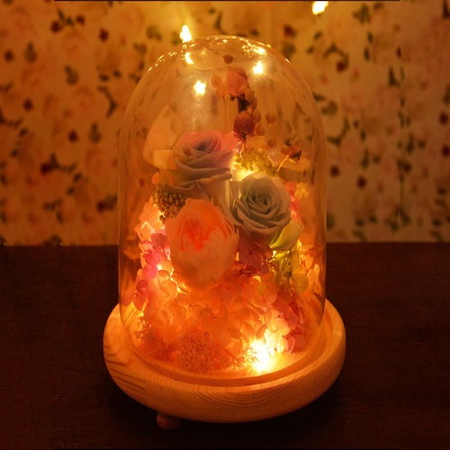 Fashion glass display cloche - fashion,
