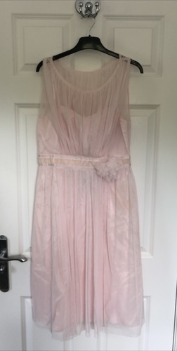 Debenhams debut pale pink - debenhams,