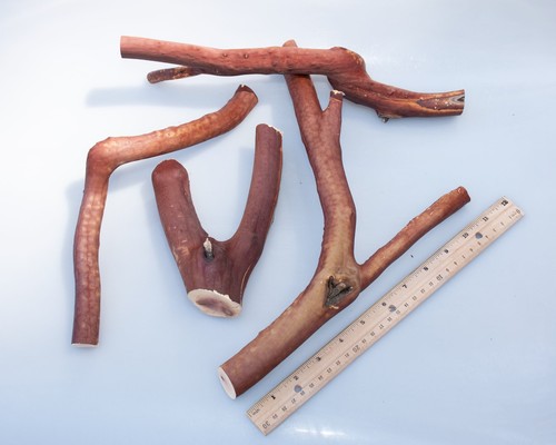 Manzanita wood branch for - manzanita,