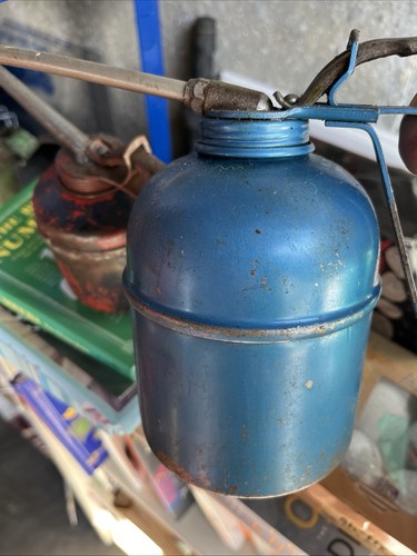 Italian blue oiler - italian,