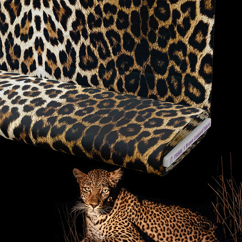 Leopard jersey fabric scuba - leopard,