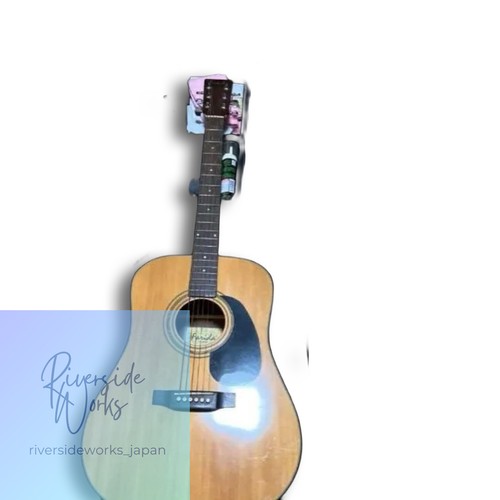 Farida acoustic guitar - farida,