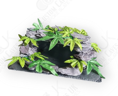 Medium bearded dragon snake - medium,