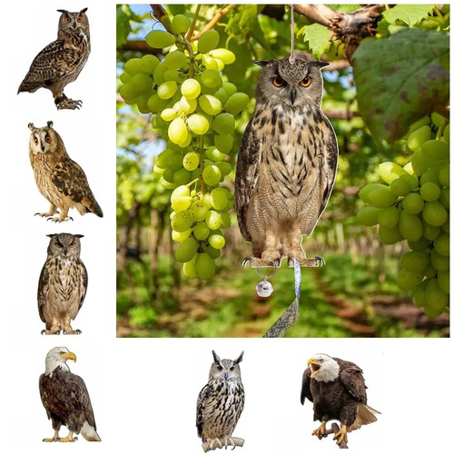 Realistic owl decoy deterrent - realistic,