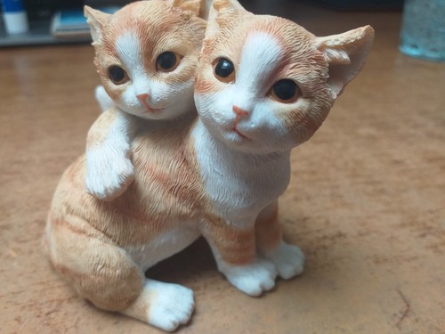 Leonardo collection cat - leonardo,