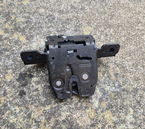 Genuine 13500195 tailgate - genuine, gm