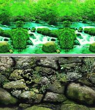 Aquarium Fish Tank Background
