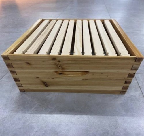 Vector bee hive fx1 - hive,