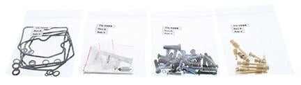 Carburetor rebuild kit 97 - carburetor,