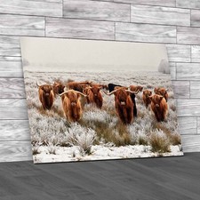 Exploring Scottish Winter With Highland Cows Canvas Print Large Picture Wall Art