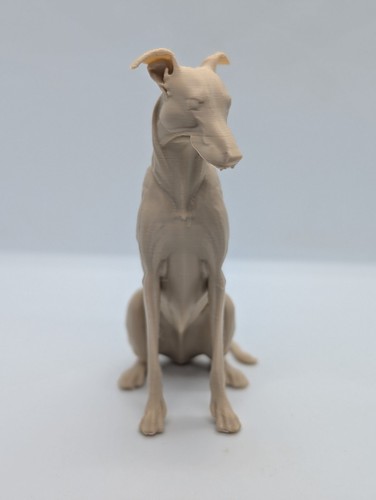 Greyhound lurcher whippet dog - lurcher,