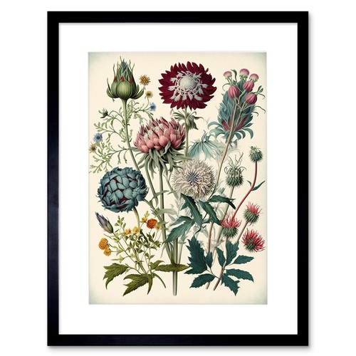 Ernst haeckel style vintage - haeckel,