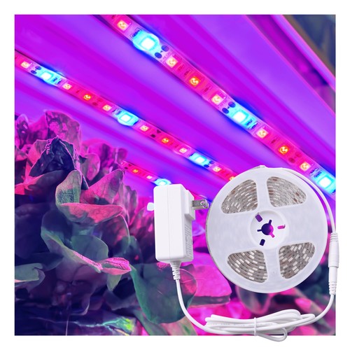 8ft full spectrum grow - full,