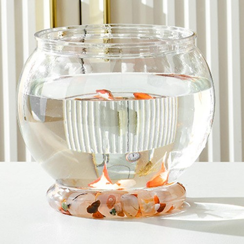 Fish tank aquatic - fish, pot