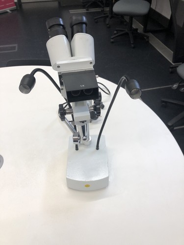 Stereo binocular microscope - stereo,