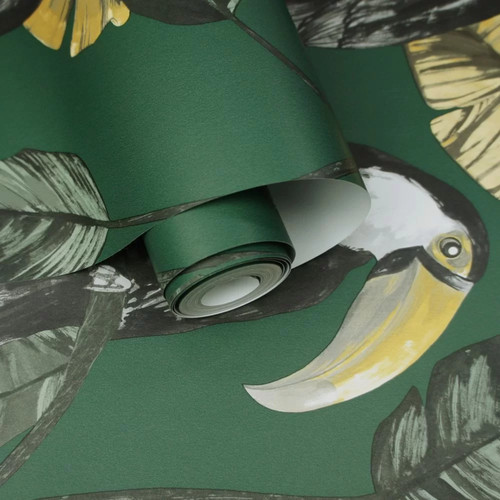 Bird jungle botanical - bird,