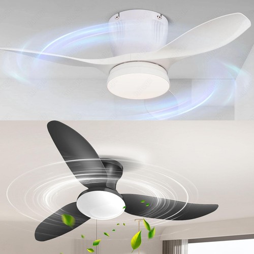 Morden led ceiling fan light - morden,