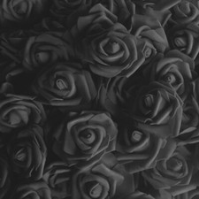 50/100 Large Foam Roses