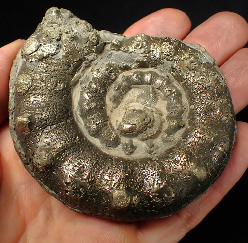 Large chunky pyrite