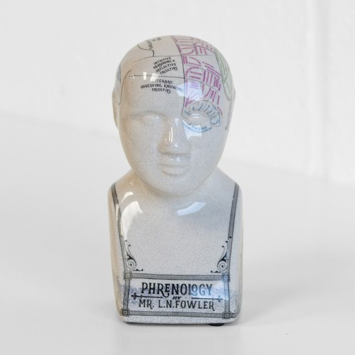 15cm small phrenology head - 15cm,