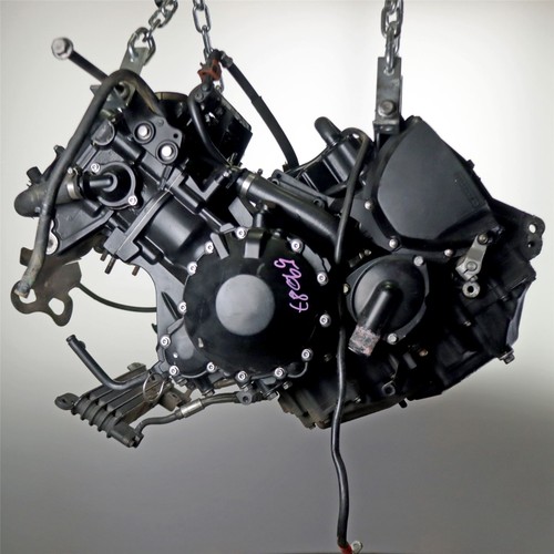 2010 triumph tiger 1050 - triumph,