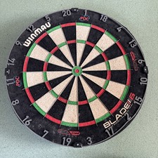 Professional Dartboard PDC