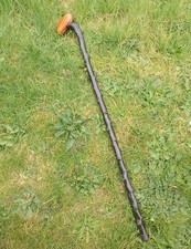 Traditional Irish Blackthorn