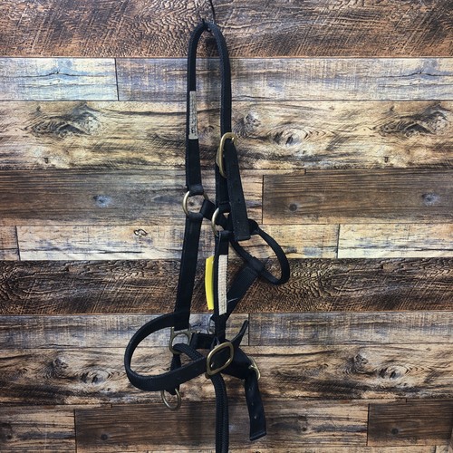 Monty roberts dually training - monty,