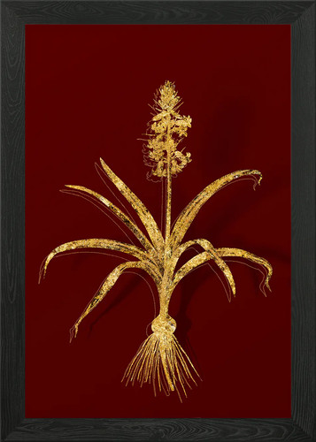 Gold botanical red - botanical,