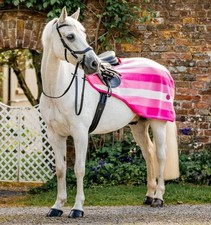 Horseware Newmarket Exercise