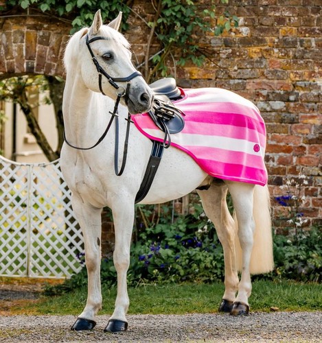 Horseware newmarket exercise - horseware,