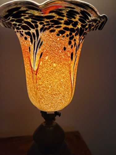 Stunning glass lamp shade - , by