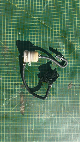 Quadzilla dinli 450 - quadzilla,