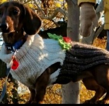 Miniature Dachshund Jumper - Handmade - Christmas Pudding Jumper - New 