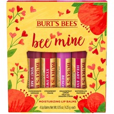 Burt's Bees Lip Balm Gift Set