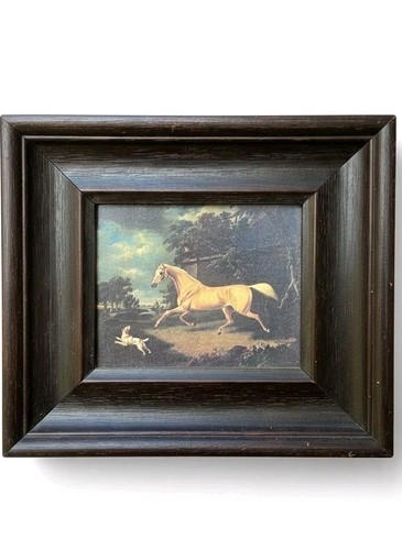 Palomino a spaniel - a,
