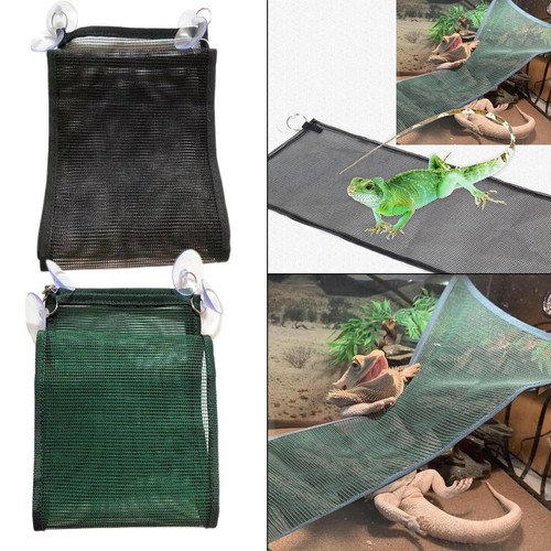Reptile hammock with suction - reptile,