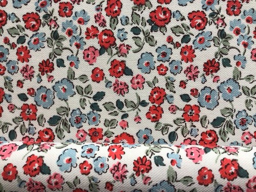 50cm 25cm wide cath - x,
