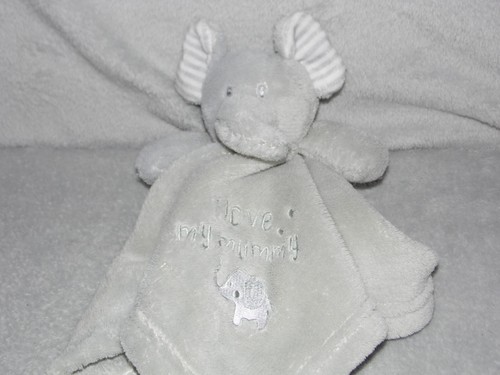 Sheldon grey elephant baby