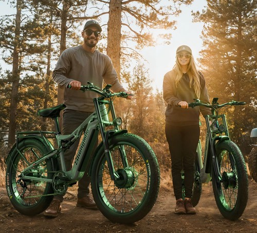 Fat tire electric - 26"fat, 48v