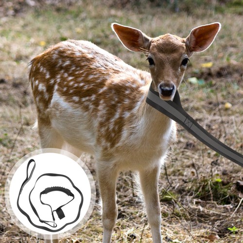 Daily use deer carrier drag - use,