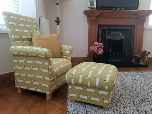 Fryetts hound dogs - hound, fabric