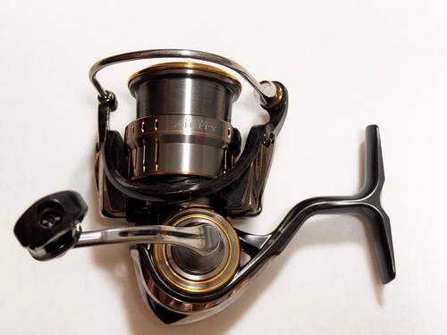 Daiwa luvias airity - 21,