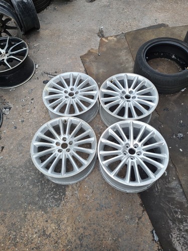 Genuine staggered jaguar - 4, x