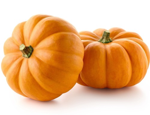 Pumpkin jack little 15x - jack,
