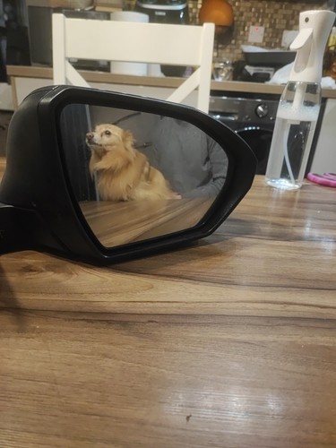 Hyundai tucson door mirror - tucson,