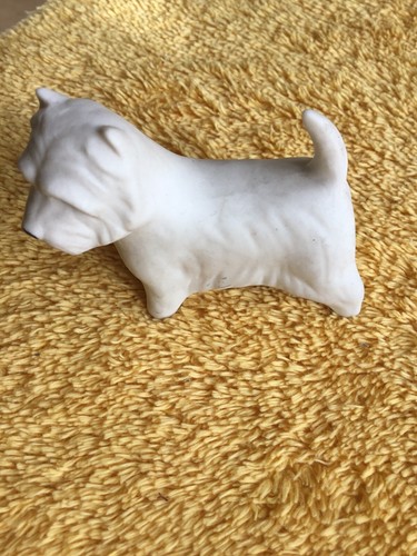Westie white terrier dog - westie,