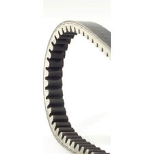 Belt PIAGGIO and dimensions