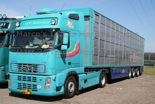Truck photo volvo fh12 cattle - truck,