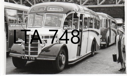 Royal blue 1409 - royal,